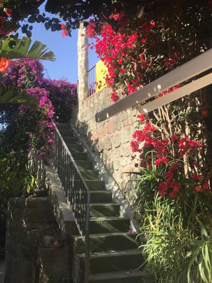 Casa Vacanze Il Pozzo Willa Ischia Island Zewnętrze zdjęcie