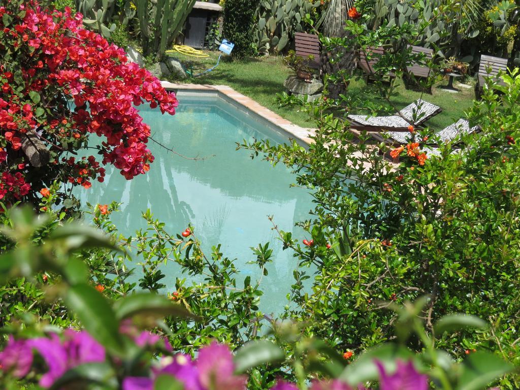 Casa Vacanze Il Pozzo Willa Ischia Island Zewnętrze zdjęcie