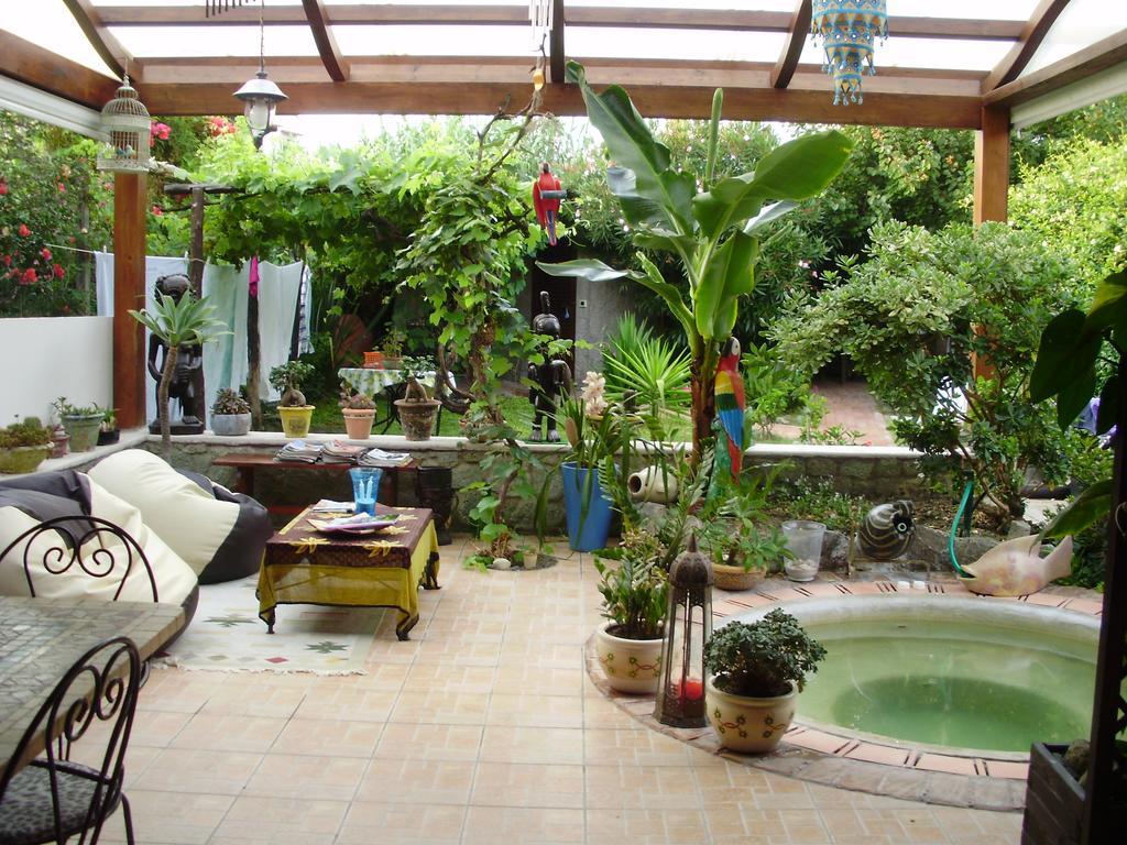 Casa Vacanze Il Pozzo Willa Ischia Island Zewnętrze zdjęcie