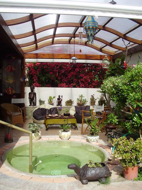 Casa Vacanze Il Pozzo Willa Ischia Island Zewnętrze zdjęcie