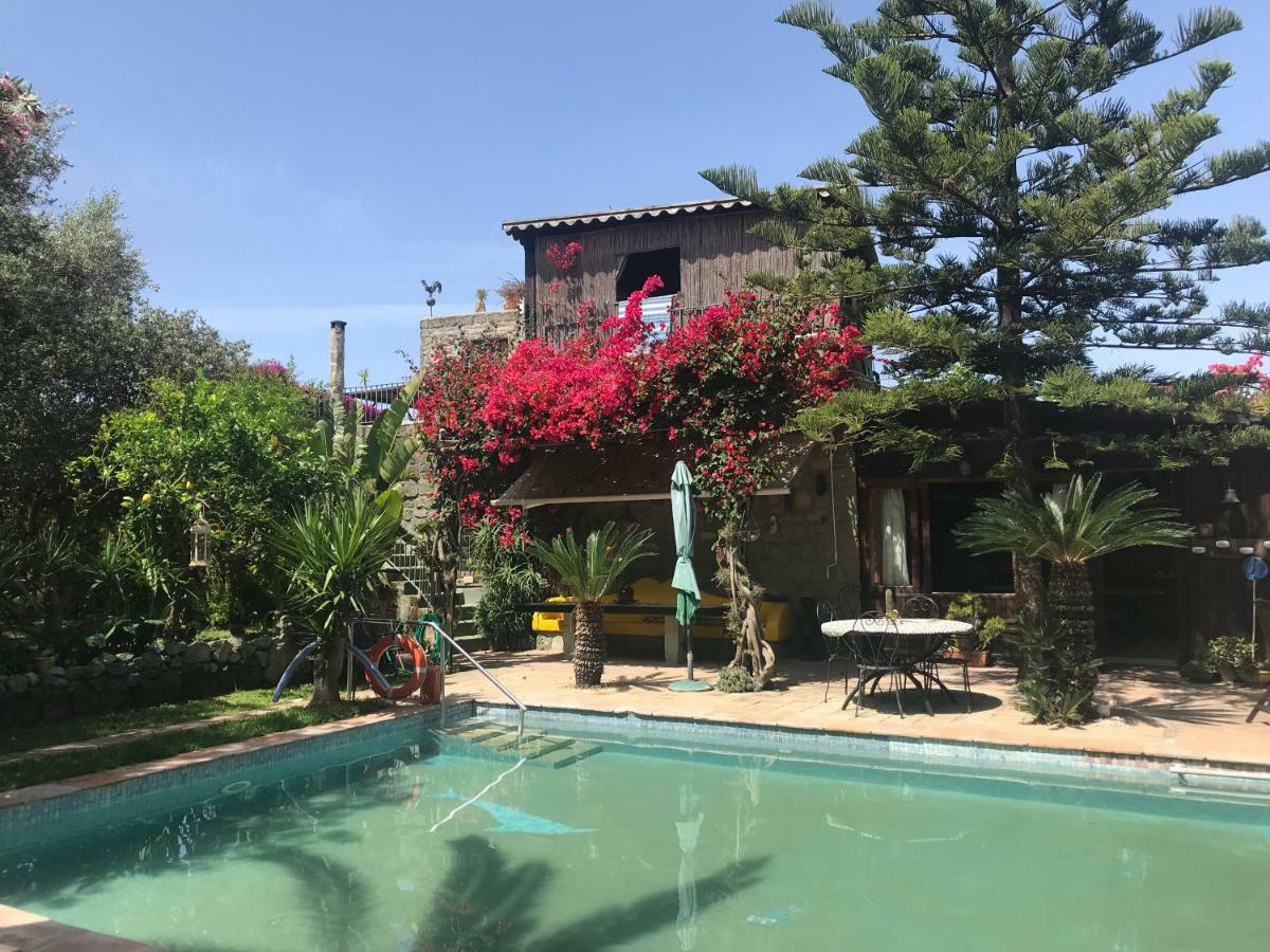 Casa Vacanze Il Pozzo Willa Ischia Island Zewnętrze zdjęcie